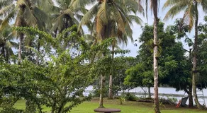 Cabinas Tortuguero Sports Fishing - Image 5