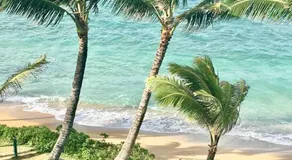 Luxury Beachfront Condo - Image 2