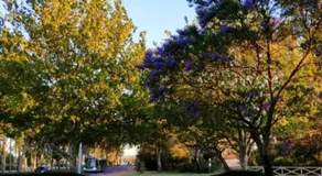 Lovely granny flat - Image 4