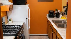 Carson - Image 3