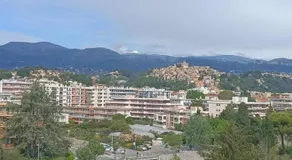 Provencal - Image 4
