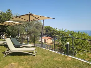 La casa tra gli ulivi - Image 4