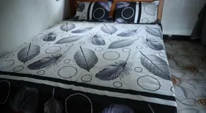 Delft Aquatic Tourist Hotel - Image 2