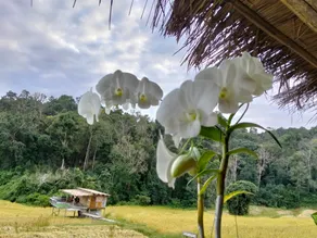 ฟาร์มสุขโฮมสเตย์ Farmsuk Homestay - Image 4