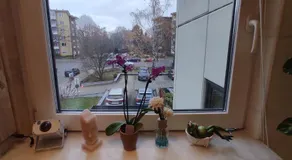 Weltoffenes privates Gästezimmer bei LGBTQ freundlichen Gastgeber der mit in der Wohnung lebt - Image 5