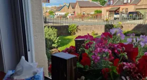 Isla Rose Cottage - Image 4