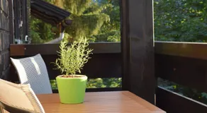 Haus Partale - Image 3