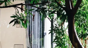 Homestay t h o n g d o n g - Image 3