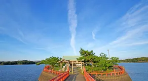 パーク琴芝 - Image 4