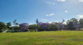 Welcome to Your Leafy Retreat in Graceville - Image 3