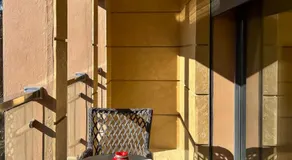 Villa Caprice Palace in city center - Image 3