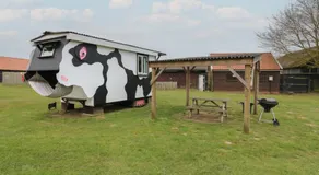 Betsy Cow Shed 2 - Image 4