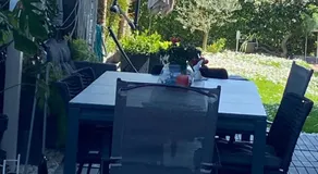 Casa Giardino - Image 3