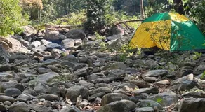 River stream Nest homestay - Image 5