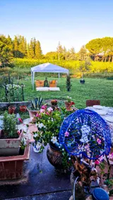 Le Rotthouse casa nella Vigna - Image 5