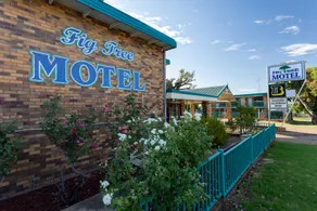 Fig Tree Motel - Image 5