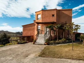 Quaint Farmhouse in Plagiari surrounded with Olive Trees - Image 2