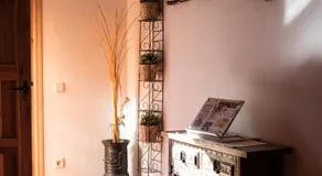 Casa La Alegría de La Alcarria I - Image 5