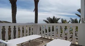 Palmhouses - Image 3