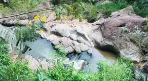 River Line -Ella - Image 2