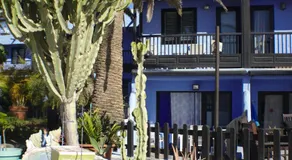 Bungalow frente al mar - Sun Club Playa del Aguila - Image 5