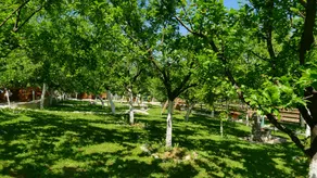 Malak Farma - Image 5