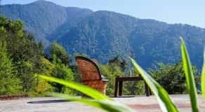 Summer Guest House - Image 5