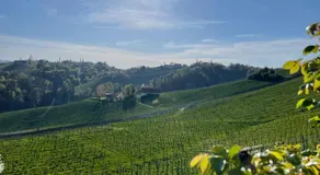 Zur goldenen Krone - Image 5