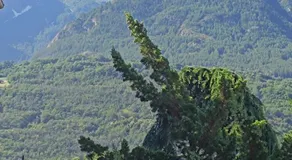 La Grolla - Image 5