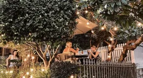 Balmain Harbour Retreat - Sydney Harbour & City Access - Image 5