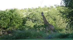 Adonsonia Lodge - Image 5