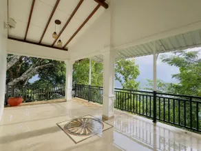 Tropical Oasis - Image 4
