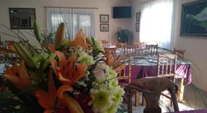 Hotel Primavera - Image 4