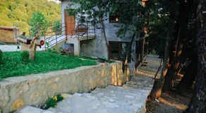 Donkey Farm Martinici - Farma magaraca Martinici - Image 3