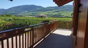 Agritur Clementi - Image 5