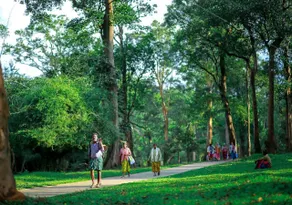 Tusker Inn Forest Lodge - Image 5