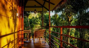 Coffee Cradle Wayanad Luxuorios Private Tree House - Inside 2 Acre Coffee Plantation - Image 3
