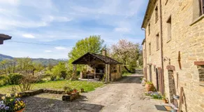 Ca' d'Alfieri - Image 5