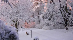 Heddahgaarden - Image 5