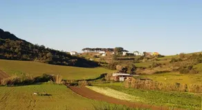 AL - HaoleGuestHouse - Image 4