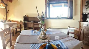 B&B NUZZI - Image 4