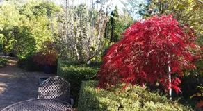 Hobreid Park - Image 5