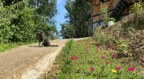 An's home homestay - Image 5