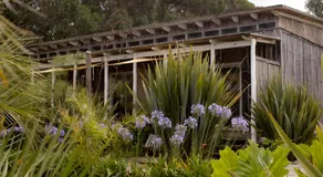 Las Luciernagas Posada de Mar - Image 2