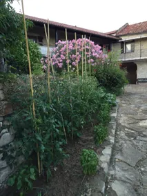 Cascina Marenco Langhe Hus med privat pool - Image 5