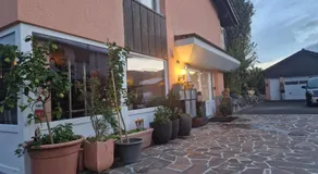 Studio Verde - Image 4