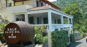 Winery Bačić - Image 4