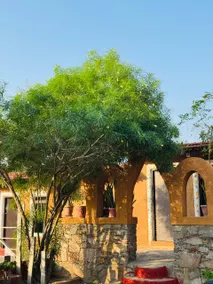 Themudcasa villa - Image 3