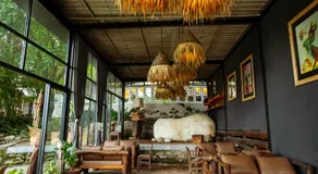Krazy Gecko Resort - Image 2