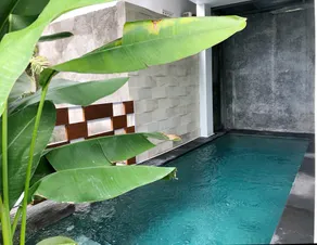 B&C Homes Denpasar Bali - Image 4